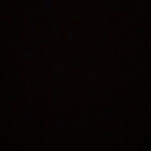 Meet your Posher, Paige